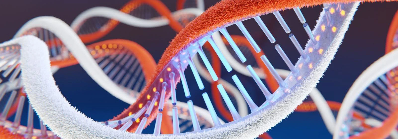 Key Differences Between RNA and DNA Structures