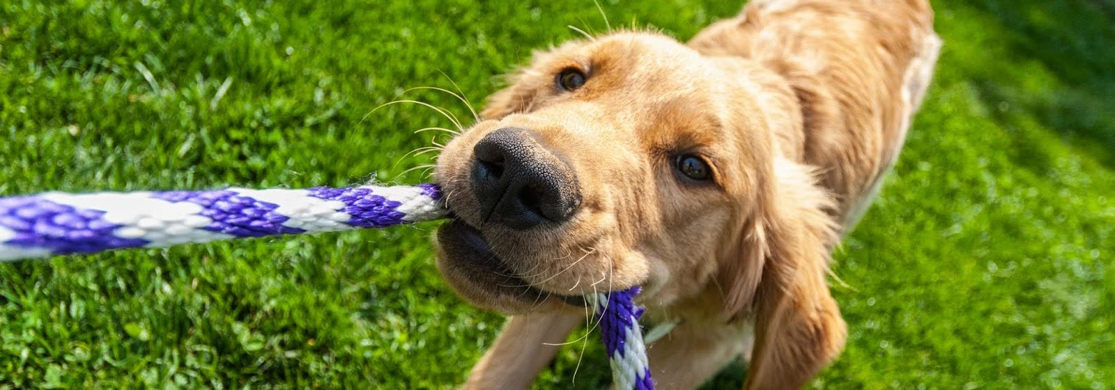 Subtracting Vectors: Simplified Guide for Beginners